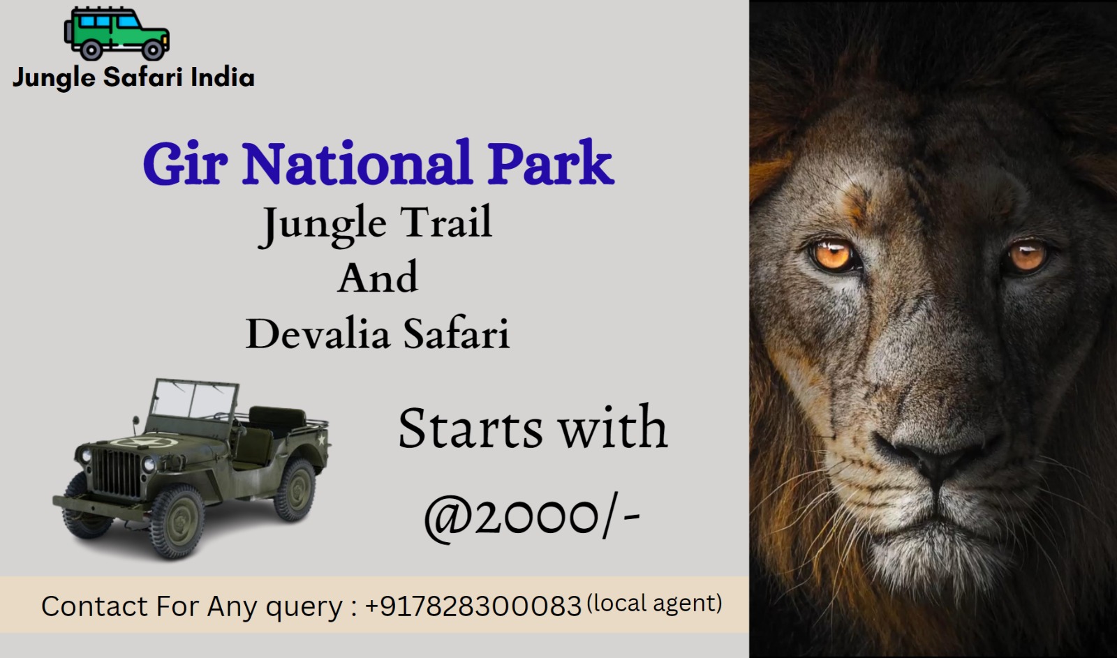 gir jungle safari review